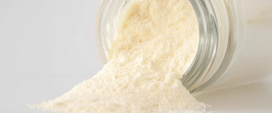 Colostrum for Kids: Nature’s First Superfood for Immunity