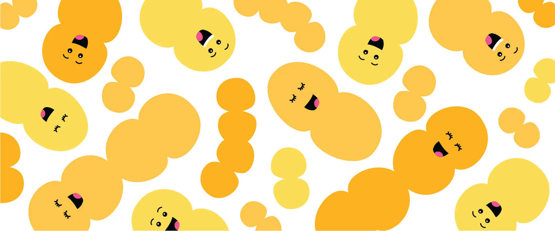 Probiotics and Prebiotics for Kids: The Key to Strong Digestion and Immunity