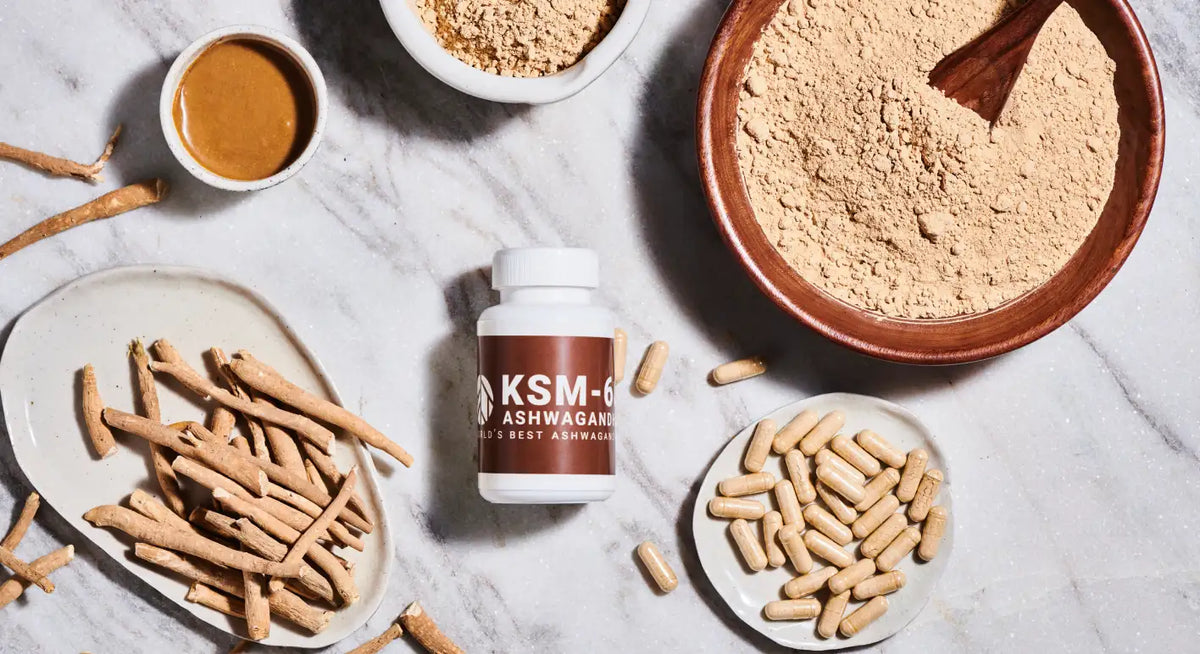 All you need to know about KSM-66® Ashwagandha